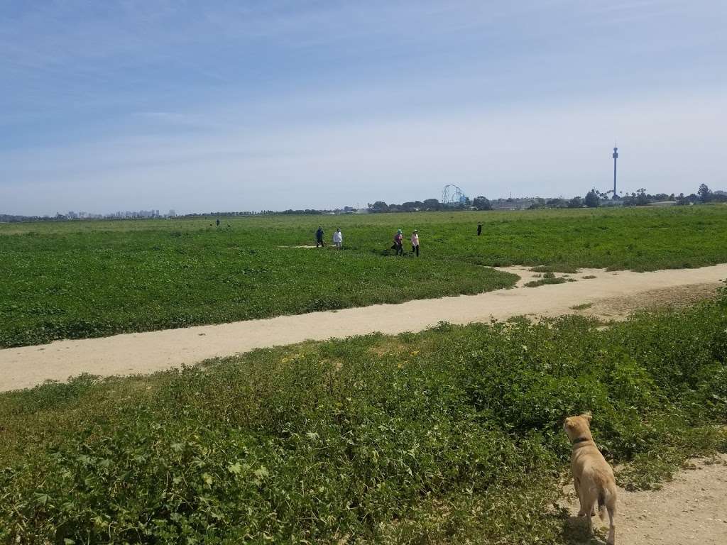 Fiesta Island Dog Park | 1750 Fiesta Island Rd, San Diego, CA 92109, USA | Phone: (619) 525-8213