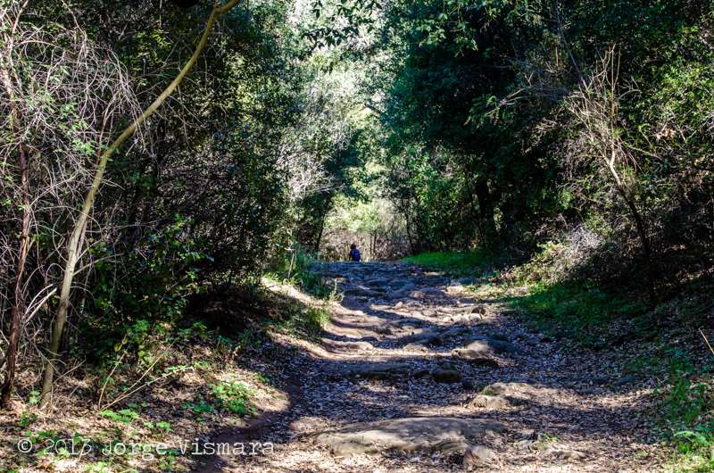 Stunt Ranch State Park | Calabasas, CA 91302, USA