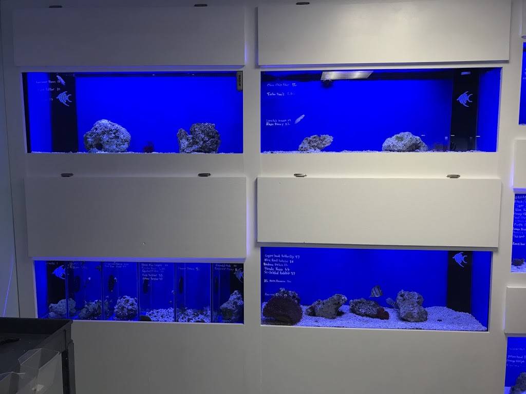 Aquarium Customs, INC. | 303 N Aspen Ave, Broken Arrow, OK 74012, USA | Phone: (918) 853-4402 Aquarium Customs, INC. | 303 N Aspen Ave, Broken Arrow, OK 74012, USA | Phone: (918) 853-4402