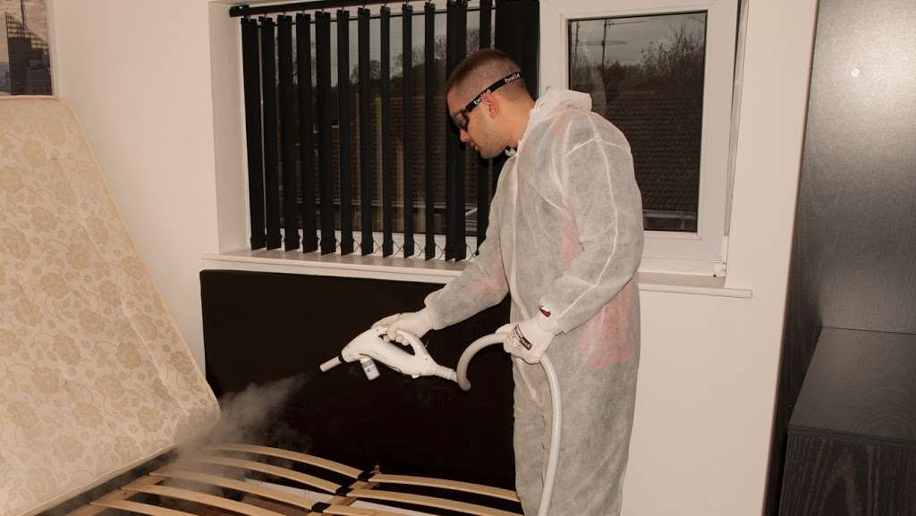 Bed Bug Hunters | London, UK | Phone: 07565 800449