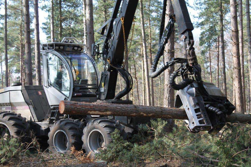 Treewood Harvesting Ltd | Mill End, Mill Lane, Mill Ln, Bishops Stortford, Hatfield Heath CM22 7AA, UK | Phone: 01279 422682