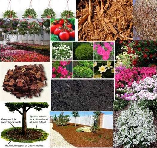 Spring Grove Nursery | 1476 Union Grove Rd, East Earl, PA 17519, USA | Phone: (717) 445-4186