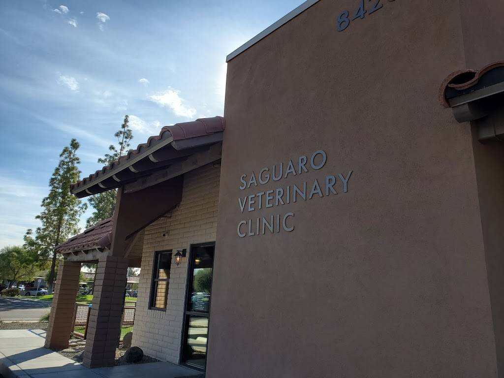 Saguaro Veterinary Clinic | 8426 E McDonald Dr, Scottsdale, AZ 85250 | Phone: (480) 948-1770