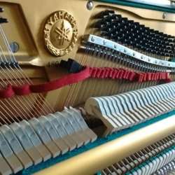 Bruce Johnson Piano Service | 5193 Zinnia St, Arvada, CO 80002, USA | Phone: (303) 421-9167