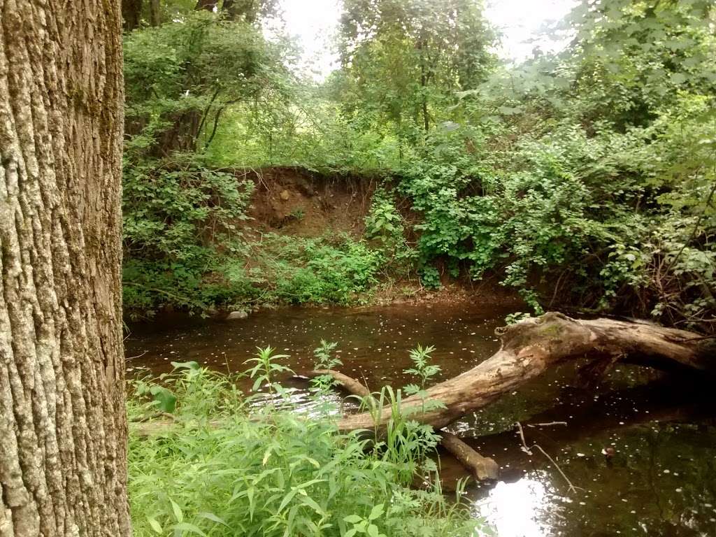 Morsetown Brook Wetland Preserve | 8 Rutgers Ave, West Milford, NJ 07480, USA | Phone: (973) 532-9830