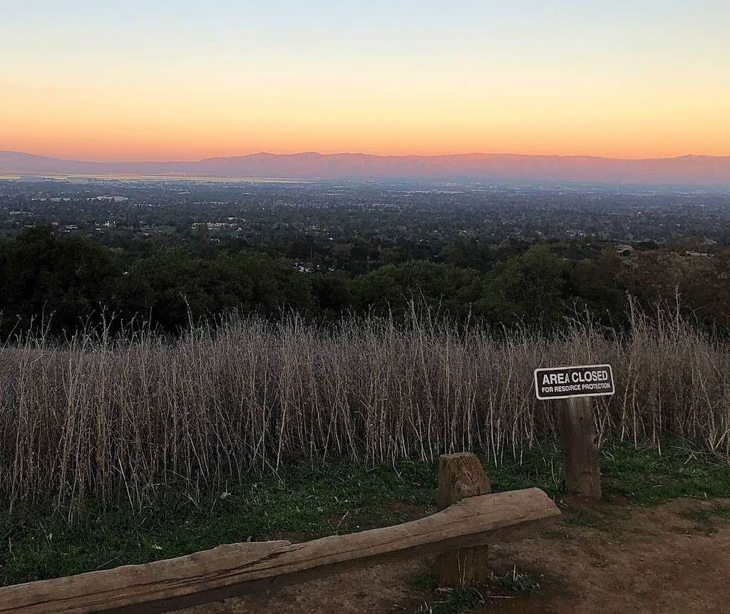 Best Self Walking Therapy | 22500 Cristo Rey Dr, Los Altos, CA 94024, USA | Phone: (408) 813-5324