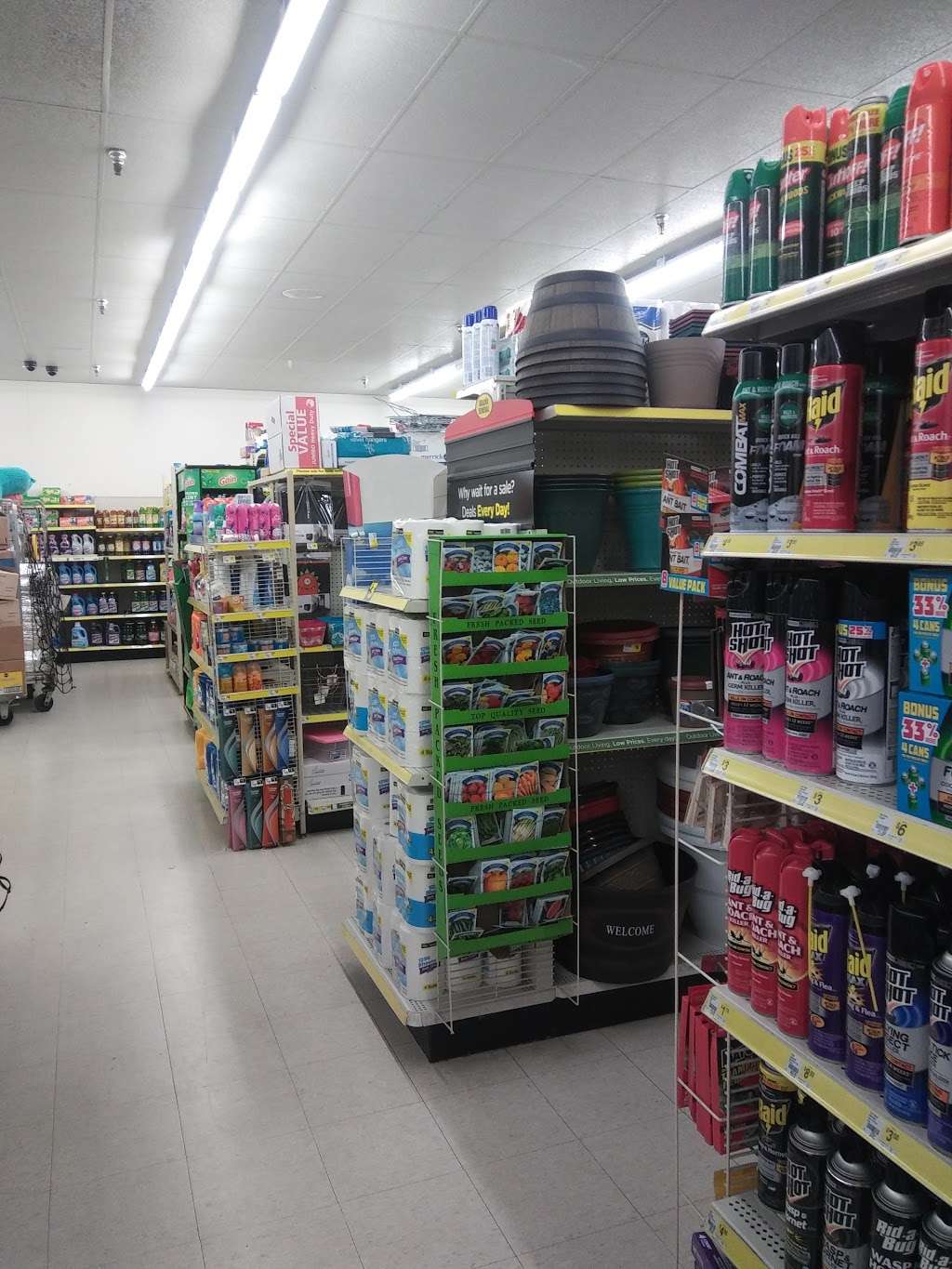 Dollar General | 395 E Burleigh Blvd, Tavares, FL 32778, USA | Phone: (352) 343-2664