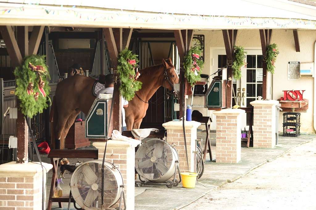 Ponies & Palms Show Stables LLC | 19721 118th Trail S, Boca Raton, FL 33498, USA | Phone: (561) 289-4024