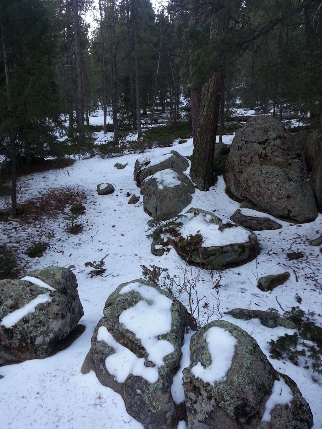 Flying J Ranch Park Trailhead | 9661 County Hwy 73, Conifer, CO 80433 | Phone: (303) 271-5925