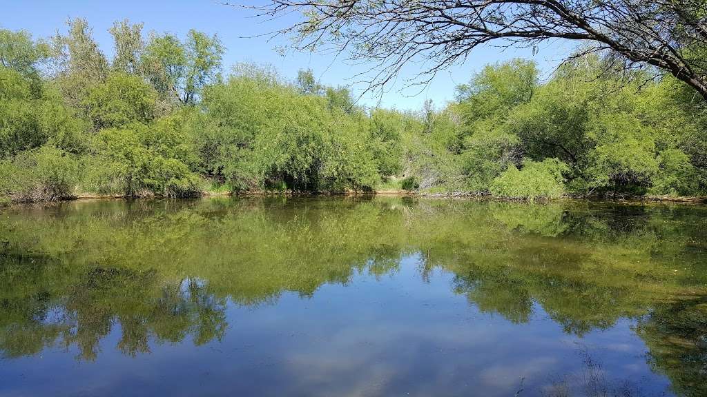 Barrier Free Nature Trail - Parking Lot | Barrier Free Nature Trail, Phoenix, AZ 85050, USA