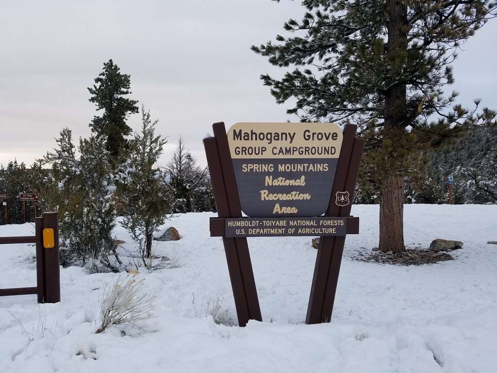 Mahogany Grove Campground | NV-158, Coleville, NV 96107 | Phone: (801) 226-3564