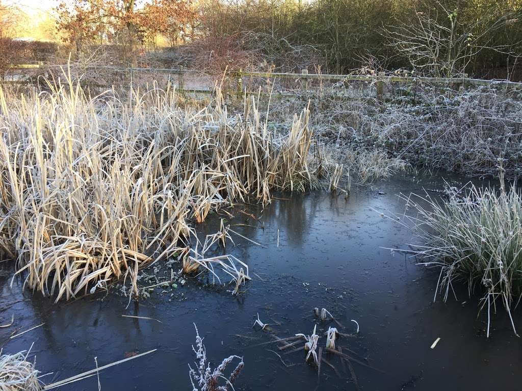 Pond and Rotary Centennial Wildlife Area | Colney Heath, St Albans AL4 0EZ, UK