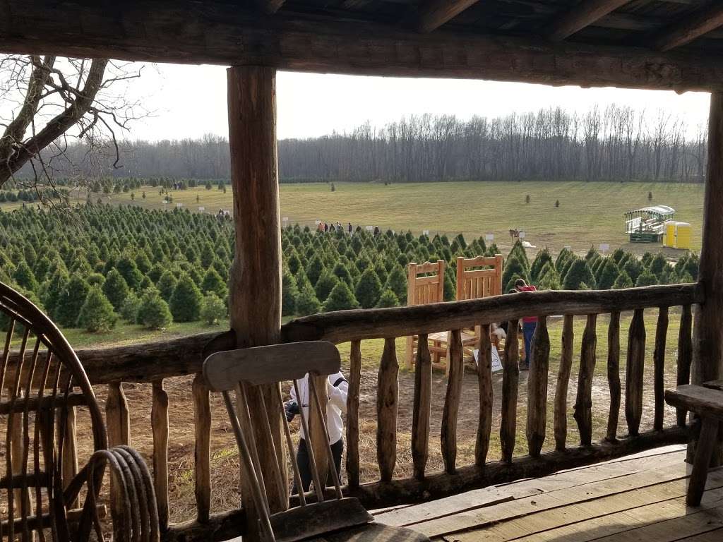 Dulls Tree Farm and Pumpkin Harvest | 1765 W Blubaugh Ave, Thorntown, IN 46071 | Phone: (765) 325-2418