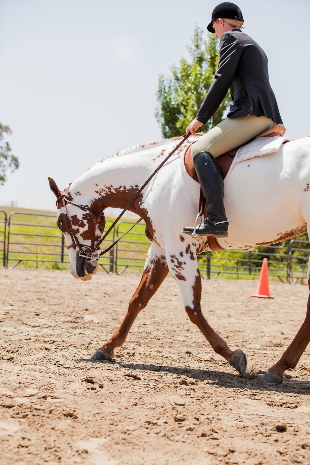 Rafter L Stables/ Lisa Laplace | 5945 Haire Ln, Napa, CA 94559 | Phone: (707) 363-7156