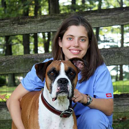 Country Veterinary Hospital | 17591 Frederick Rd, Mt Airy, MD 21771, USA | Phone: (301) 829-0414