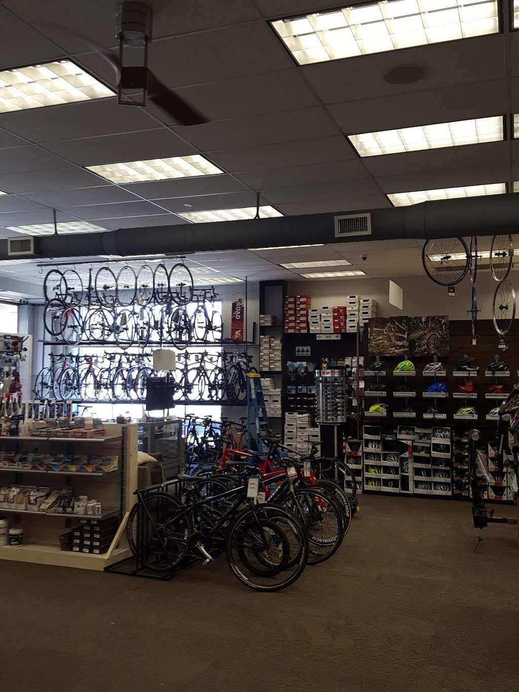 Dannys Cycles | 644 Central Park Ave, Scarsdale, NY 10583 | Phone: (914) 723-3408