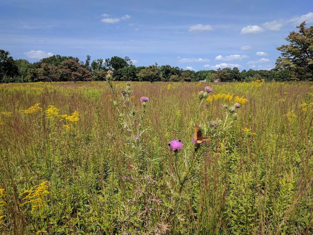 Hacklebarney State Park | 119 Hacklebarney Rd, Long Valley, NJ 07853 | Phone: (908) 638-8572