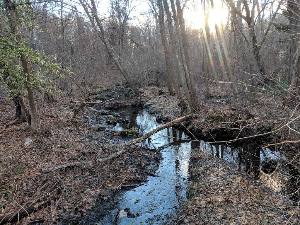 Boulder Brook Reservation | 1 Westgate, Wellesley, MA 02481, USA | Phone: (781) 431-1019 ext. 2294