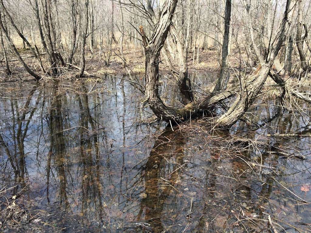 Julie Metz Wetlands Trailhead Parking | Woodbridge, VA 22191, USA