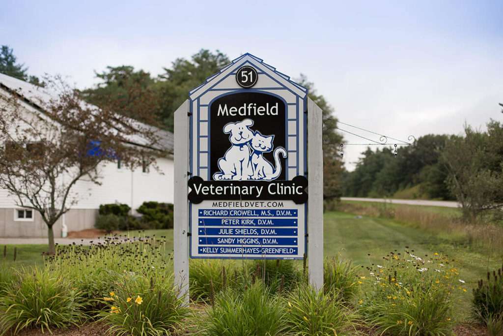 Medfield Veterinary Clinic | 51 Peter Kristof Way, Medfield, MA 02052, USA | Phone: (508) 359-1920