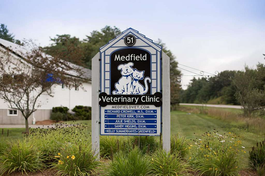 Medfield Veterinary Clinic | 51 Peter Kristof Way, Medfield, MA 02052 | Phone: (508) 359-1920