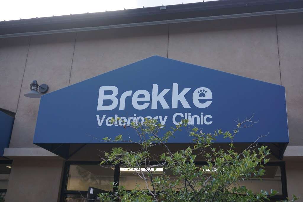 Brekke Veterinary Clinic | 856 W Happy Canyon Rd #120, Castle Rock, CO 80108 | Phone: (303) 474-4260