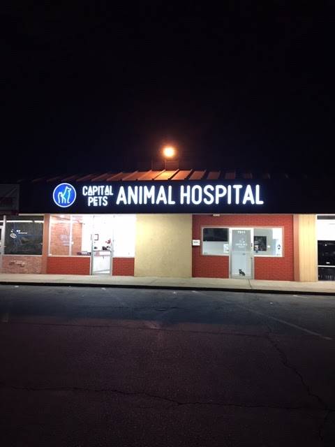 Capital Pets Animal Hospital - Sacramento | 7911 Bruceville Rd, Sacramento, CA 95823, USA | Phone: (916) 682-3382