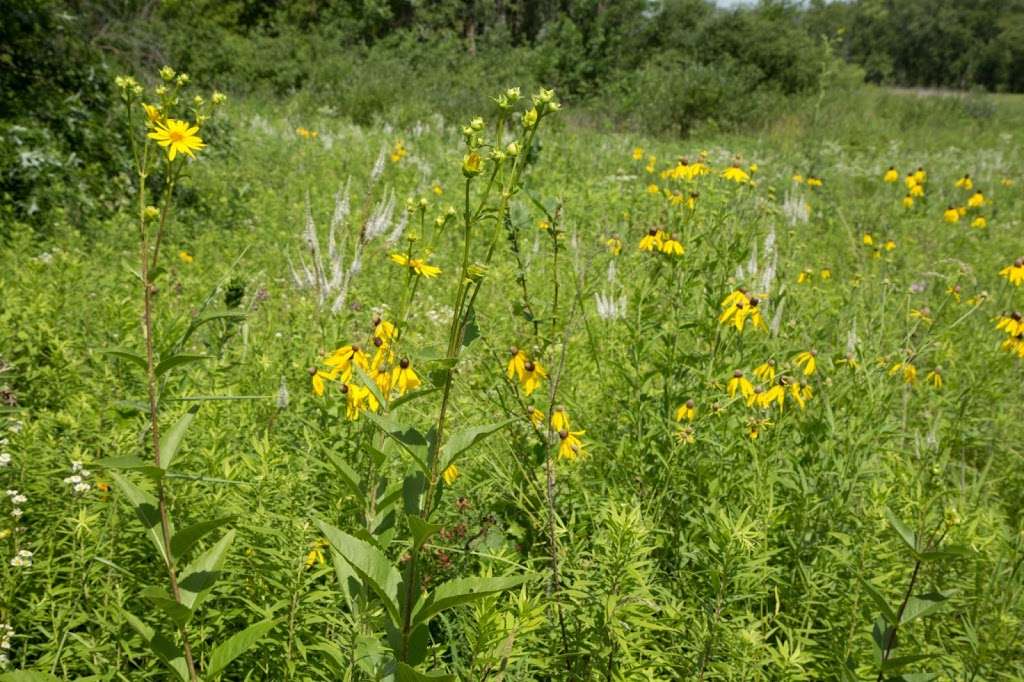 Gordon & Faith Greiner Nature Preserve | 200 N Liverpool Rd, Hobart, IN 46342, USA