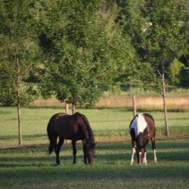 Kayenta Equestrian | 1245 N Carter Lake Rd, Loveland, CO 80537, USA | Phone: (970) 663-1733