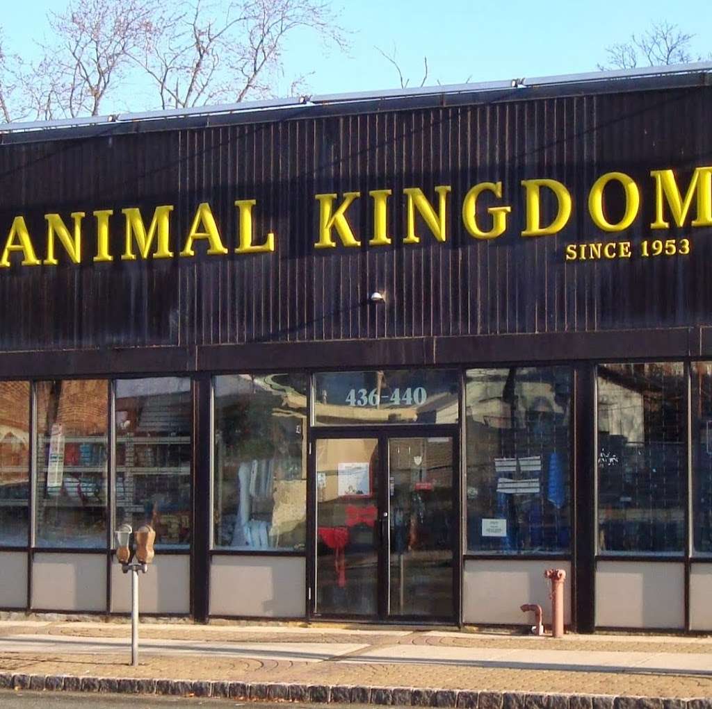 Animal Kingdom | 436-440 Main St, East Orange, NJ 07018, USA | Phone: (973) 673-1252