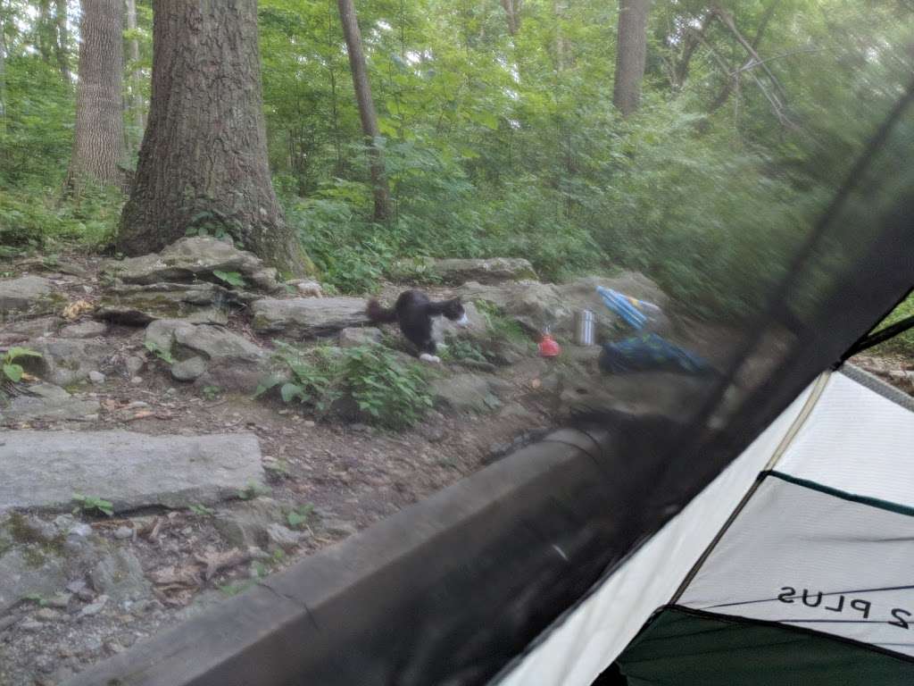 Ensign Cowall Shelter | Appalachian Trail, Smithsburg, MD 21783, USA