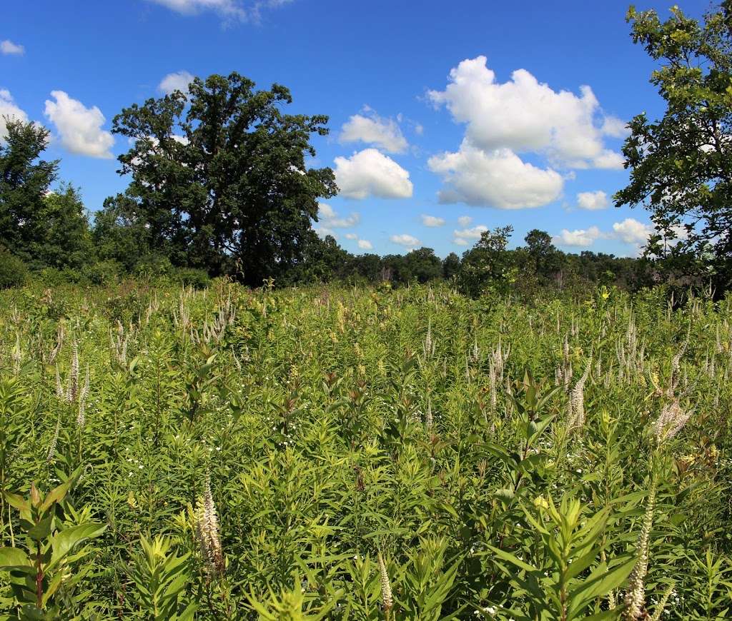 Kettle Moraine Low Prairie State Natural Area | Stark Rd, Eagle, WI 53119, USA | Phone: (608) 266-0394