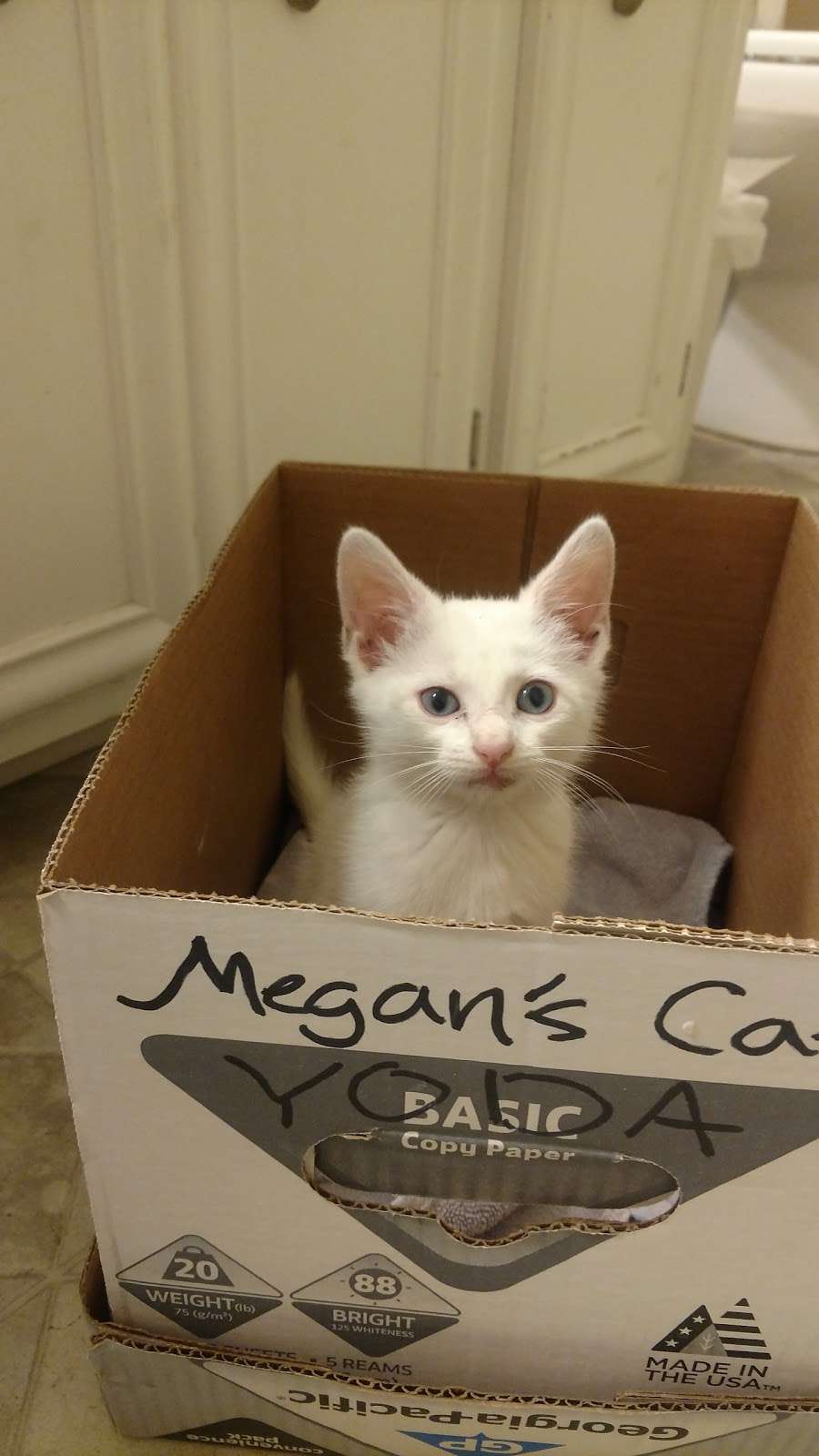 The Ball Theatre | 2137, 220 W McGregor St, Pageland, SC 29728, USA | Phone: (843) 675-7469