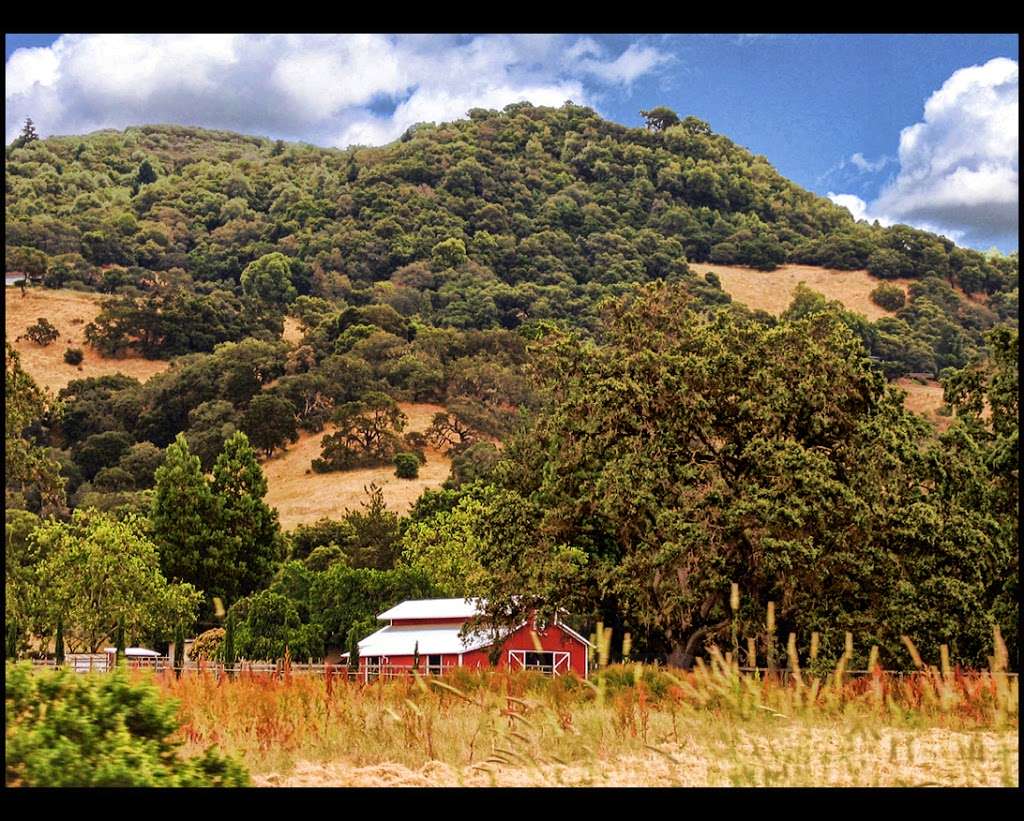 Taylor mountain regional park | 3870-3400 Petaluma Hill Rd, Santa Rosa, CA 95404, USA