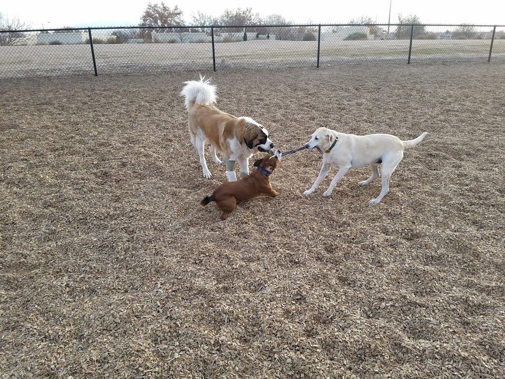 Ouray Dog Park | 7500 Ouray Rd NW, Albuquerque, NM 87120 | Phone: (505) 768-5353