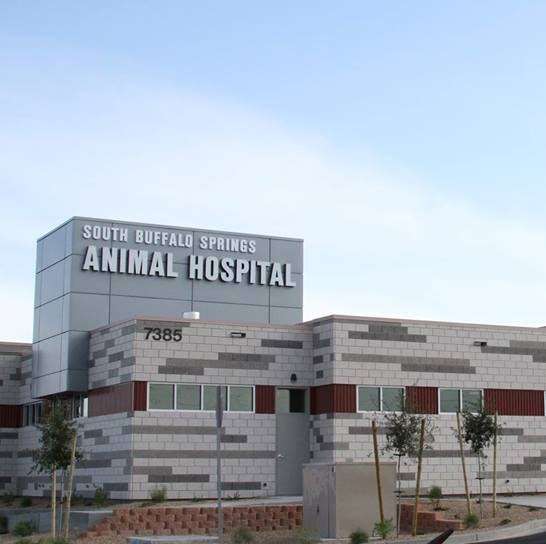 South Buffalo Springs Animal Hospital | 7385 S Buffalo Dr, Las Vegas, NV 89113, USA | Phone: (702) 333-1770