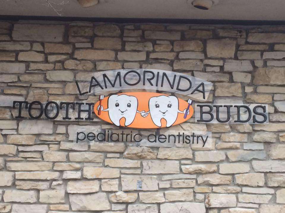 Lamorinda Tooth Buds | 3501 School St, Lafayette, CA 94549 | Phone: (925) 385-8051