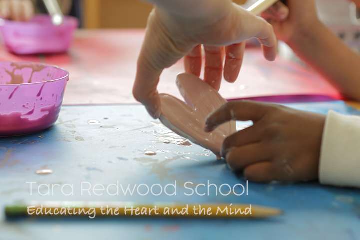 Tara Redwood School | 5810 Prescott Rd, Soquel, CA 95073, USA | Phone: (831) 462-9632