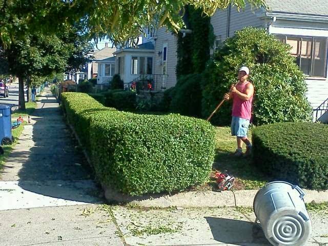 Domenic Guerra Landscaping | 19 Wayne Ave, Waltham, MA 02453, USA | Phone: (617) 930-4027