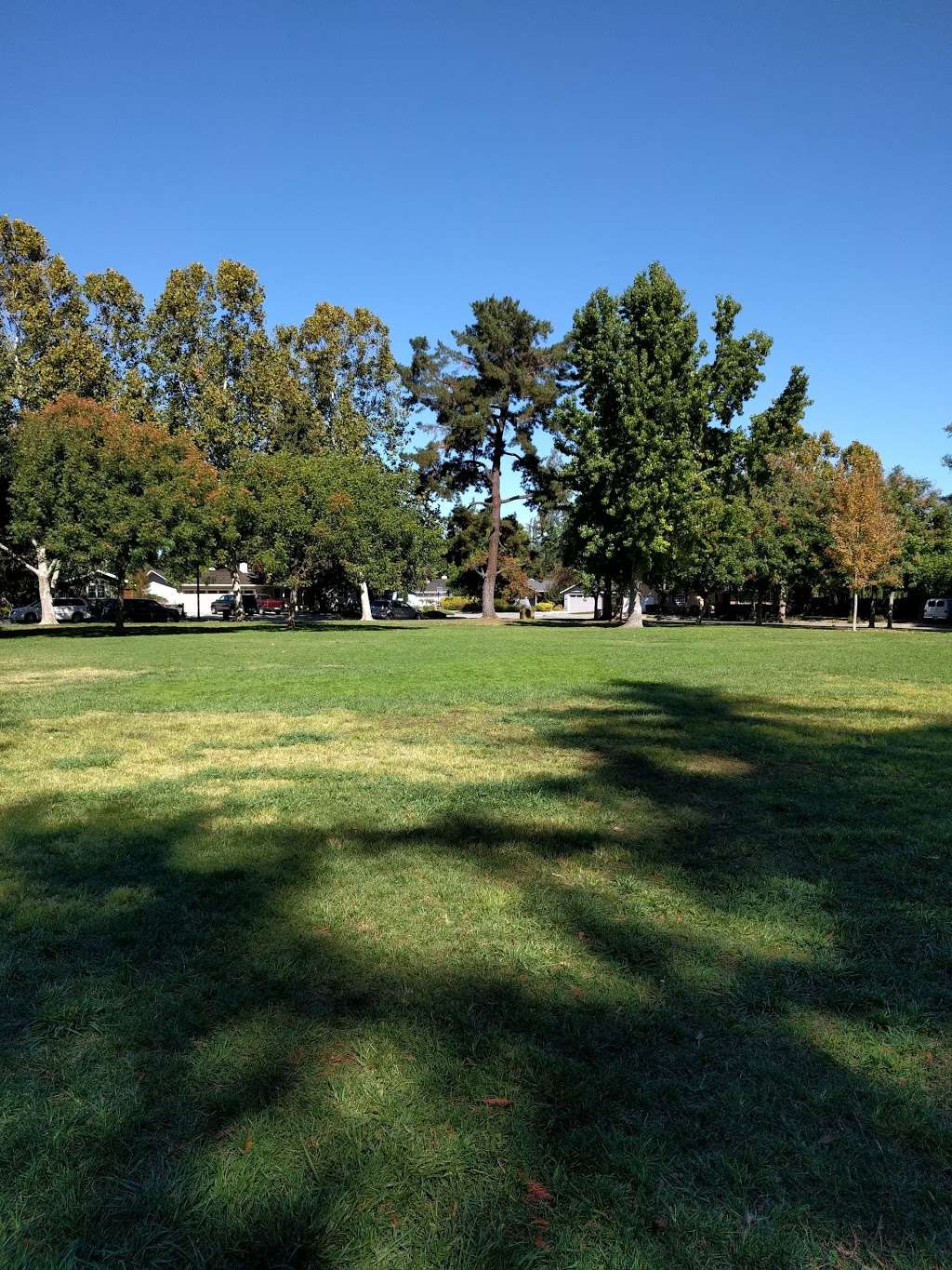 Wilcox Park | 1782 Wilcox Way, San Jose, CA 95125 | Phone: (408) 535-3570