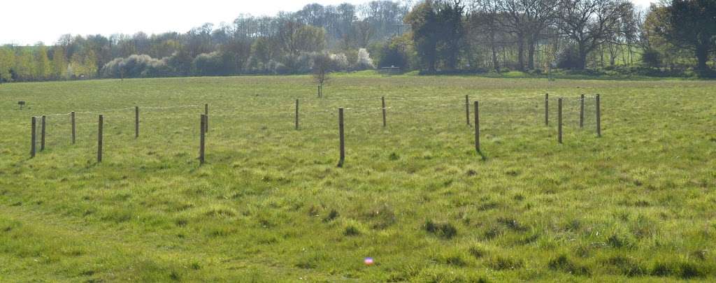 Rickneys Gundog Training Ground in Hertfordshire | Rickneys Lodge, Chapmore End SG12 0HD, UK | Phone: 07887 684119