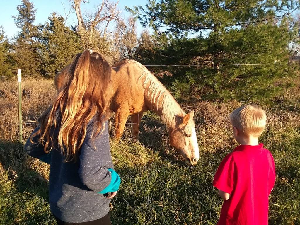 Kendles Auto Salvage & Sales | 100 Sumner St, Lincoln, NE 68502, USA | Phone: (402) 477-9702