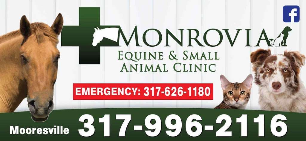 Monrovia Equine & Small Animal Clinic | 8906 N, IN-39, Mooresville, IN 46158, USA | Phone: (317) 996-2116
