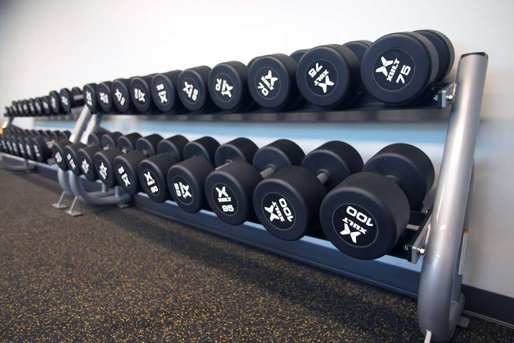 Fox Fitness at Prisco | 150 W Illinois Ave, Aurora, IL 60506 | Phone: (630) 859-8606