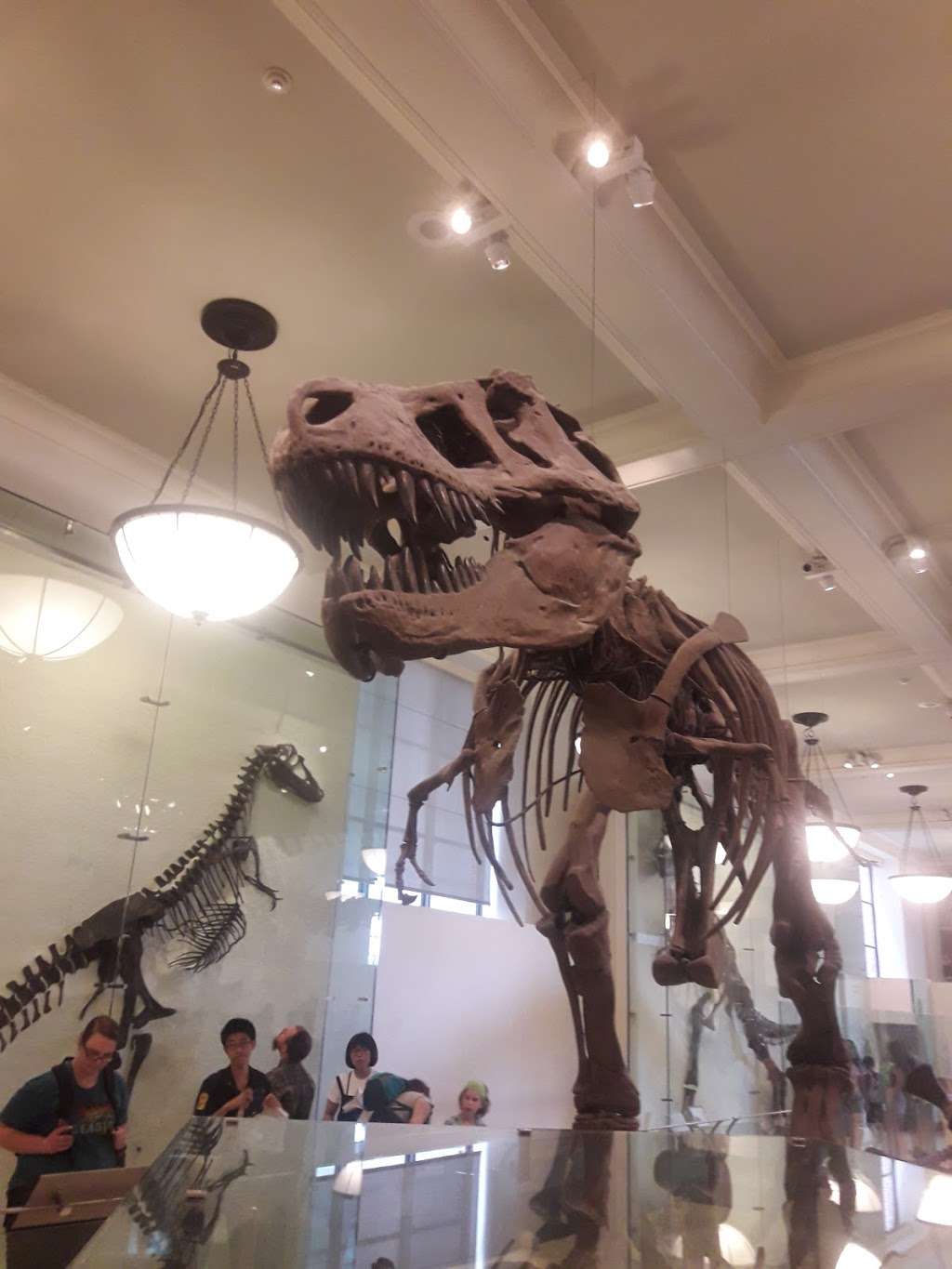 American Museum Of Natural History | Jackson, NJ 08527, USA