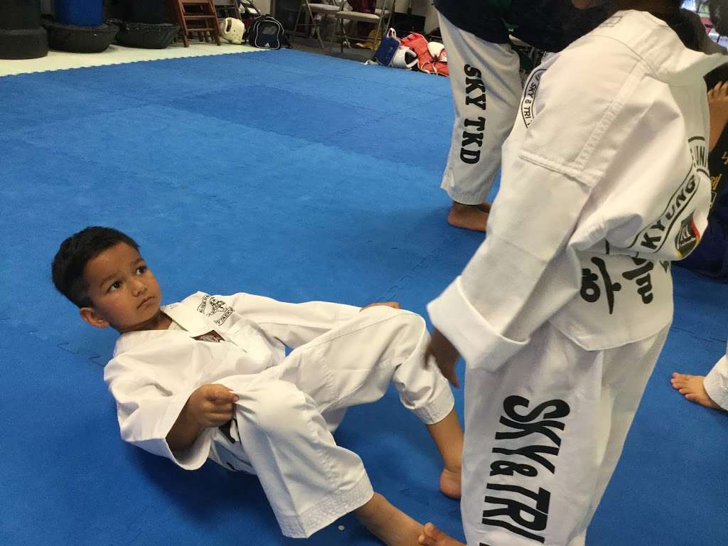 SKY Taekwondo | 403 King George Rd, Basking Ridge, NJ 07920, USA | Phone: (908) 917-1336