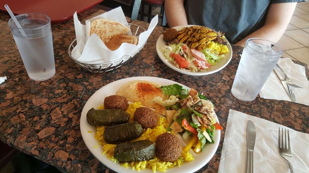 Pita Inn | 9854 N Milwaukee Ave, Des Plaines, IL 60016 | Phone: (847) 759-9990