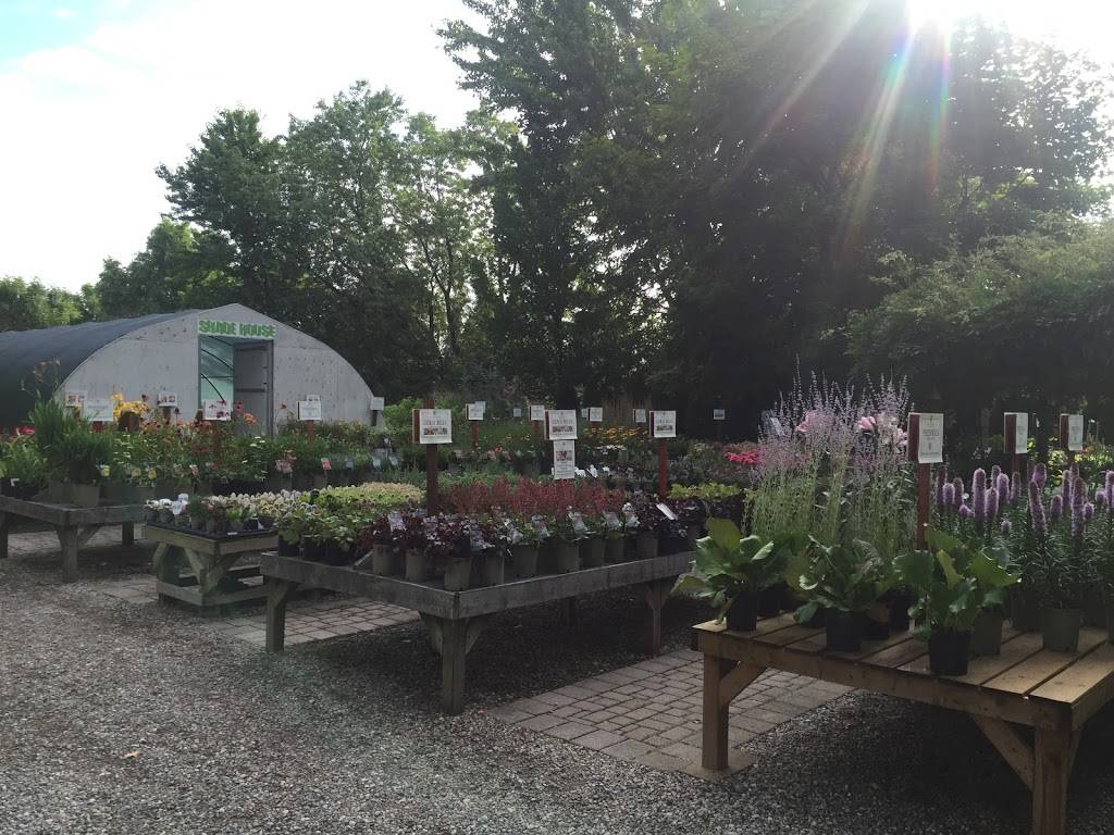 Orchard Farm Nursery Limited | 820 N Talbot Rd, Windsor, ON N9G 1M7, Canada | Phone: (519) 969-0570