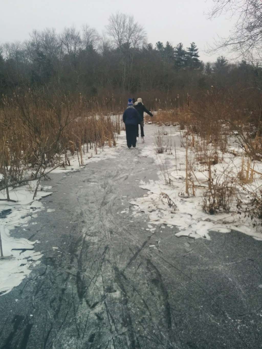 Plymouth River Nature trails | Hingham, MA 02043, USA