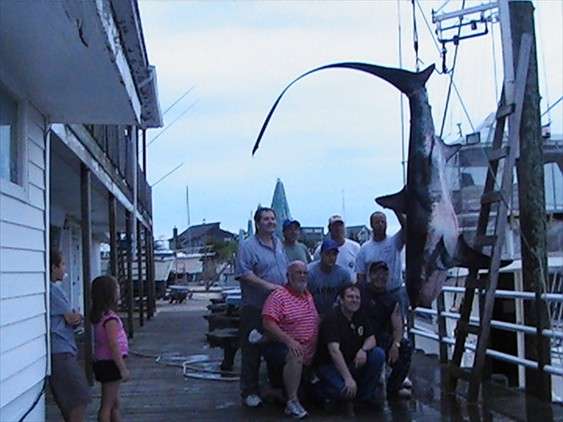 LEGAL LIMIT CHARTERS | Utschs Marina, 1121 NJ-109, Cape May, NJ 08204, USA | Phone: (609) 405-4591